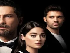 Stranac u ogledalu 5 epizoda